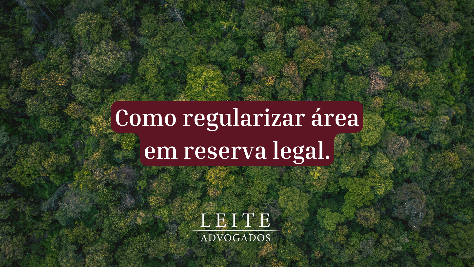 Saiba como regularizar uma área em reserva legal com esse artigo exclusivo do escritório Leite Advogados.